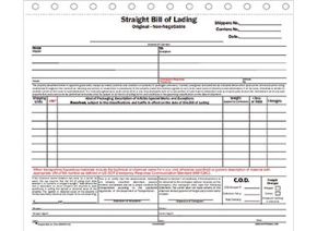Picture for category Shipping Documents