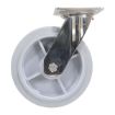 8X2 Tpr Ss Rig Swivel Caster