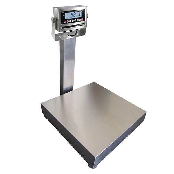 Bench Scale Ss 12X12 100 Lb Capacity