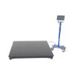 Low Profile Floor Scale 4K Cap 48L X 48W