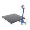 Low Profile Floor Scale 4K Cap 48L X 48W