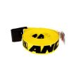 Ancra 2"x30' Strap with Flat Hook