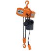 Chain Hoists with Chain Container Economy H-2000