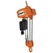 Chain Hoists with Chain Container Economy H-2000